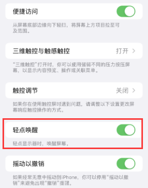 陆丰苹果授权维修站分享iPhone轻点无法唤醒怎么办 