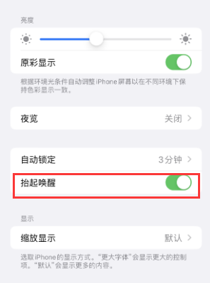 陆丰苹果授权维修站分享iPhone轻点无法唤醒怎么办