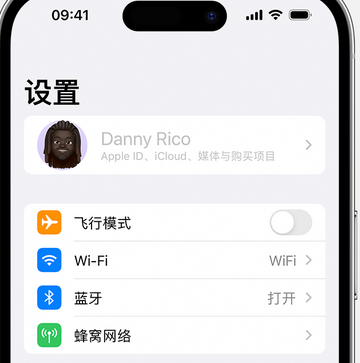 陆丰appleID维修服务iPhone设置中Apple ID显示为灰色无法使用 