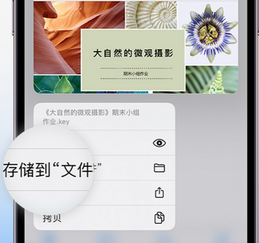 陆丰apple维修中心分享iPhone文件应用中存储和找到下载文件