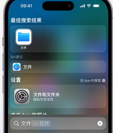 陆丰apple维修中心分享iPhone文件应用中存储和找到下载文件 