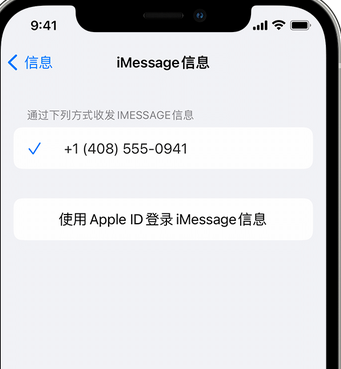 陆丰apple维修iPhone上无法正常发送iMessage信息