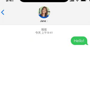 陆丰apple维修iPhone上无法正常发送iMessage信息