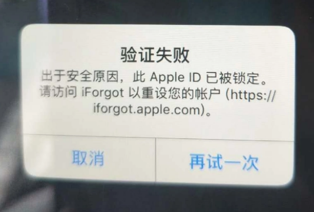 陆丰iPhone维修分享iPhone上正常登录或使用AppleID怎么办 