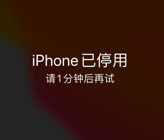 陆丰苹果手机维修分享:iPhone 显示“不可用”或“已停用”怎么办？还能保留数据吗？ 