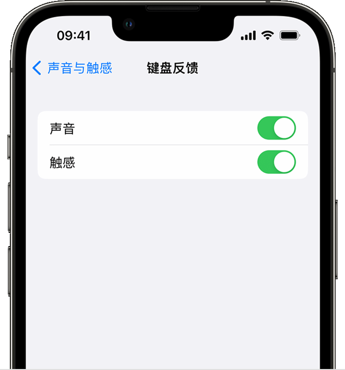 陆丰苹果14维修店分享如何在 iPhone 14 机型中使用触感键盘 