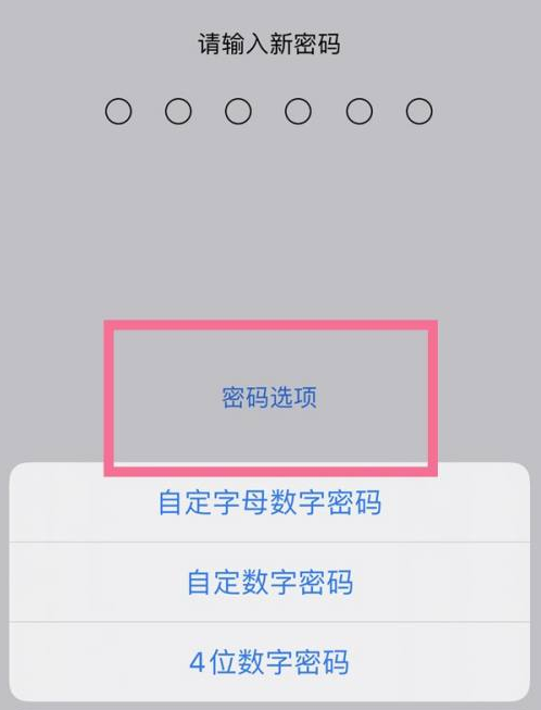 陆丰苹果14维修分享iPhone 14plus设置密码的方法 