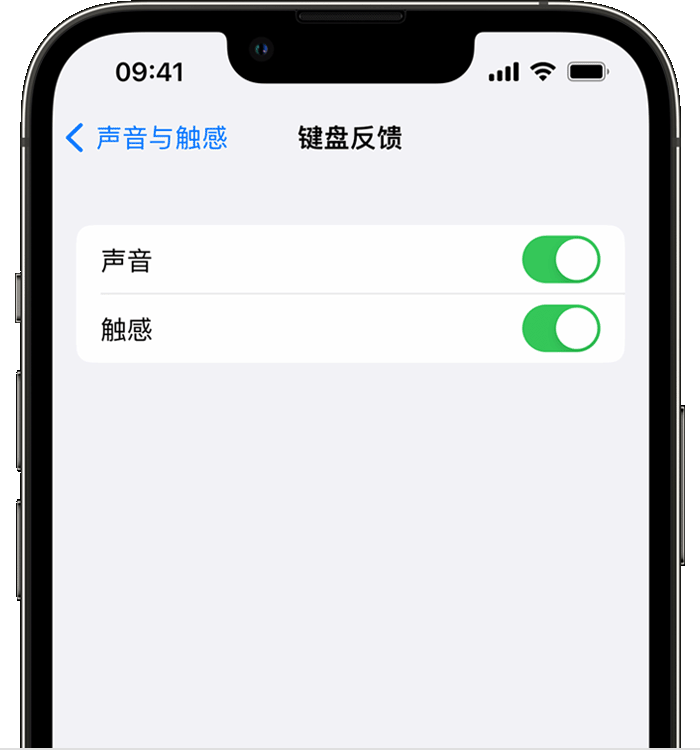 陆丰苹果14维修分享iPhone 14 系列机型如何开启键盘声音或触感反馈 