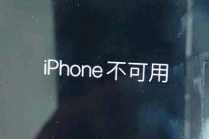 陆丰苹果服务网点分享锁屏界面显示“iPhone 不可用”如何解决 