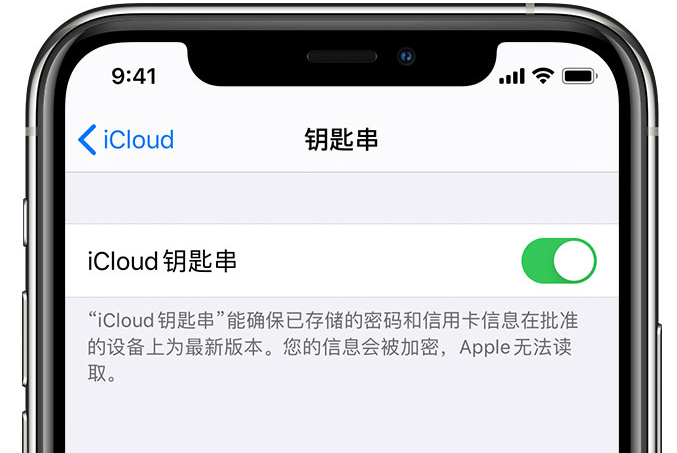 陆丰苹果手机维修分享在 iPhone 上开启 iCloud 钥匙串之后会储存哪些信息 