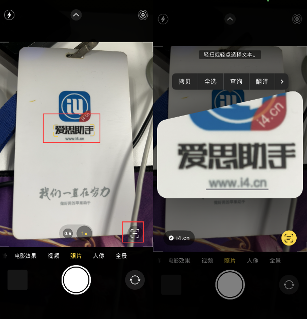 陆丰苹果手机维修分享升级iOS 16后如何通过相机翻译文本 
