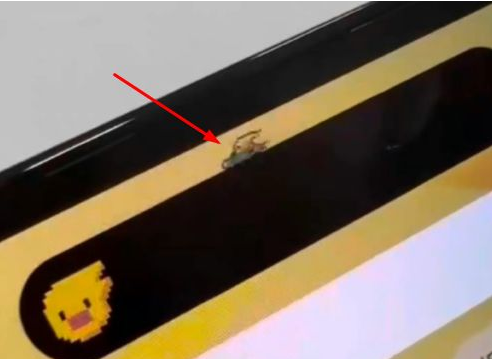 陆丰苹果14维修分享iPhone 14 Pro Max灵动岛怎么养宠物 