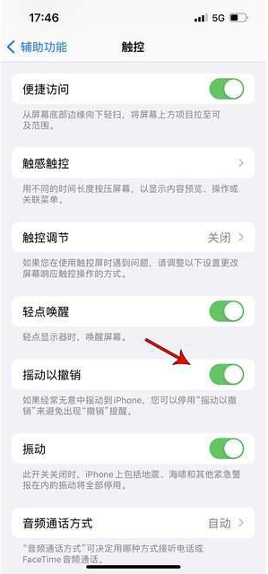 陆丰苹果手机维修分享iPhone手机如何设置摇一摇删除文字 