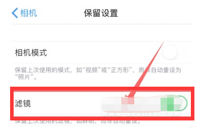 陆丰苹果13维修分享iPhone13拍照有绿点是怎么回事 