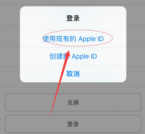 陆丰苹果手机维修分享两台iPhone设备可以同时登录一个Apple ID吗 