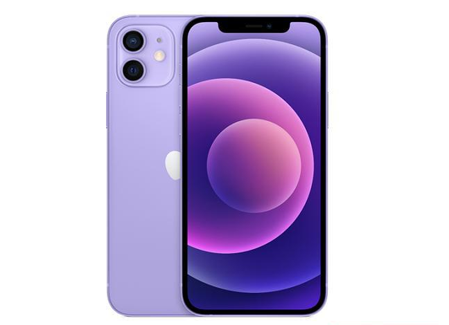 陆丰苹果手机维修分享现阶段要不要入手紫色版iPhone12 