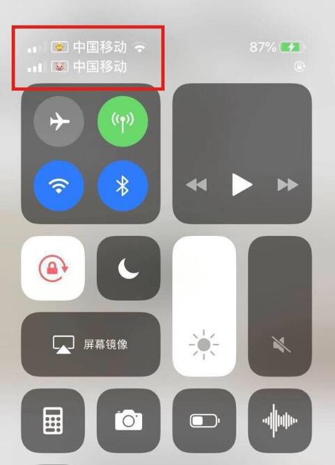 陆丰苹果手机维修分享为 iPhone 12 双卡设置标签 