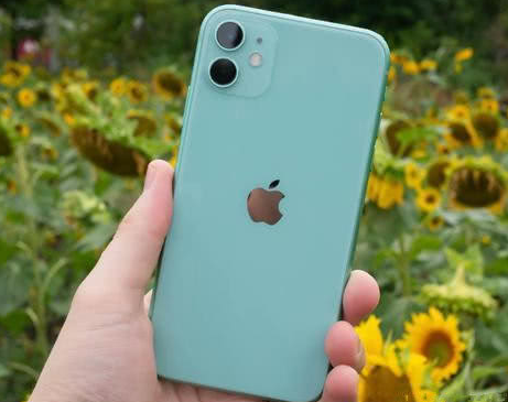 陆丰苹果维修点分享iPhone 11锁屏密码认知与使用科普 