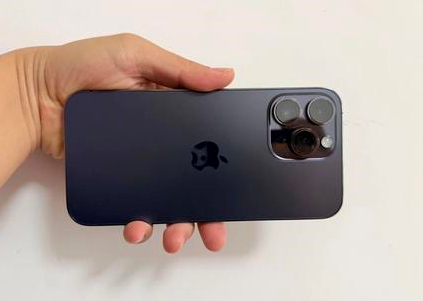 陆丰苹果维修点分享iPhone 14 Pro Max黑屏少见故障盘点 
