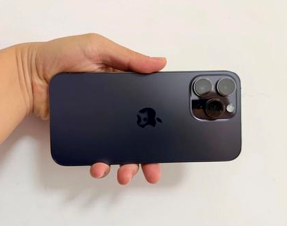 陆丰苹果维修点分享iPhone 14 Pro Max发烫多重诱因剖析 